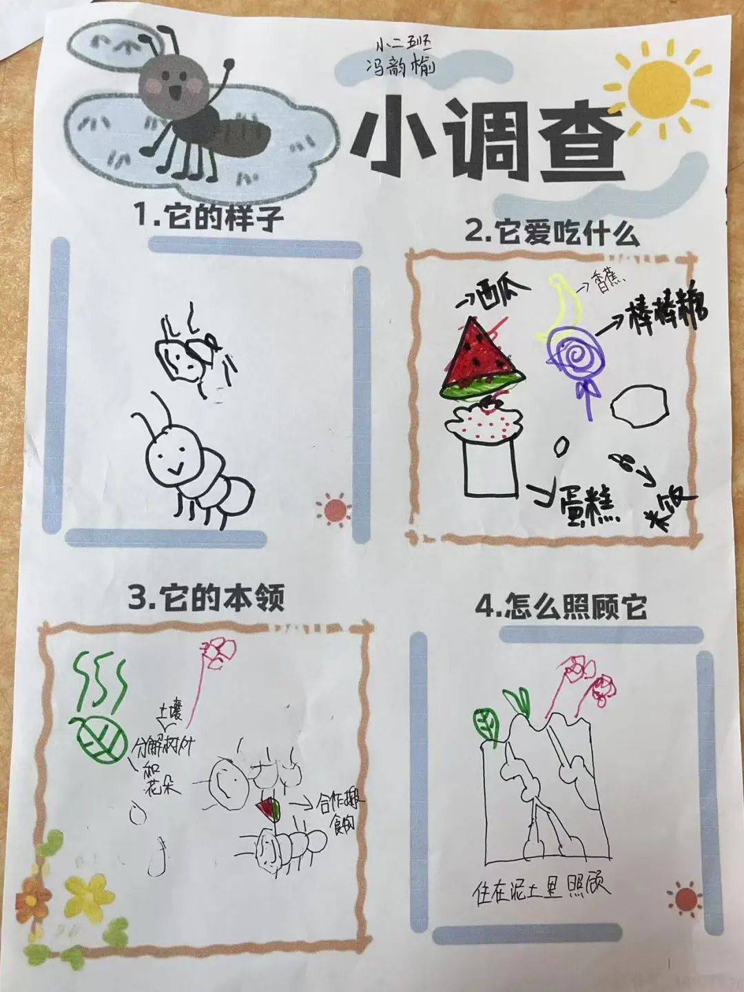 "域"见蚂蚁和西瓜