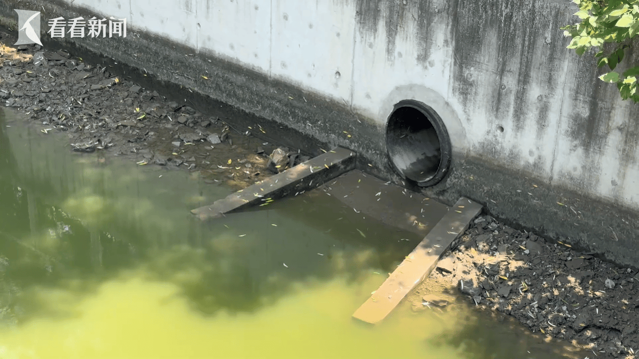 雨污混接成小河道污染元凶 上海推进整治改造