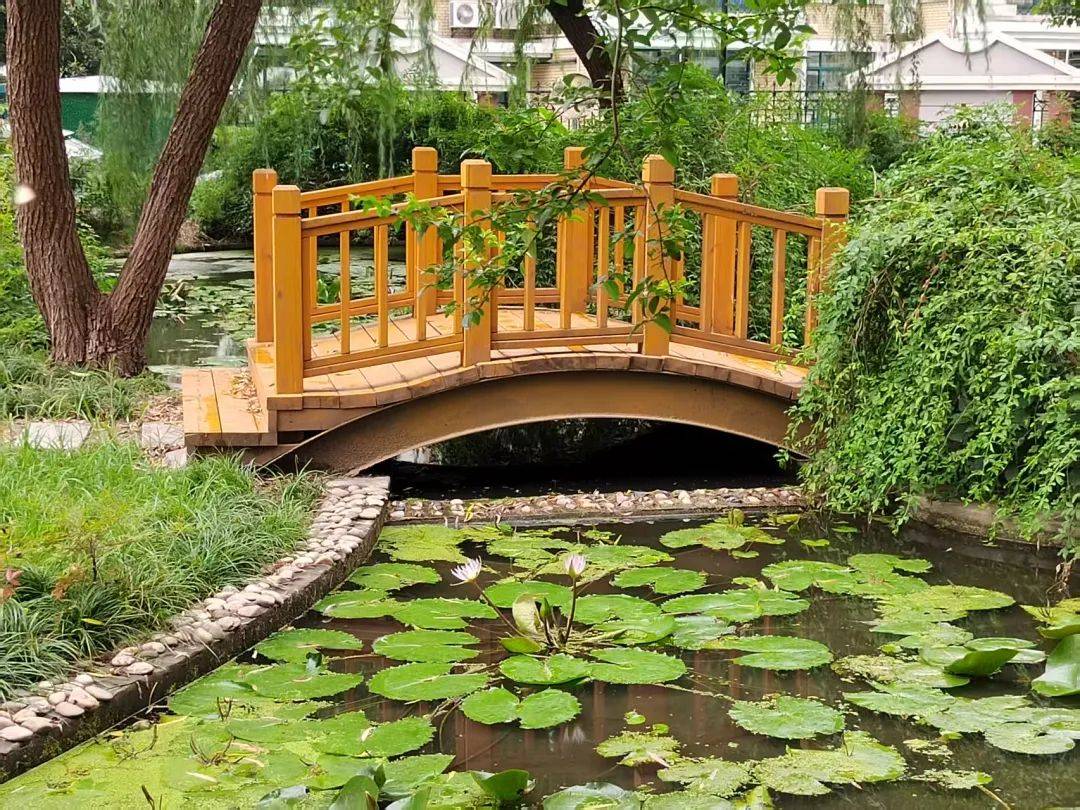 物业调价难题破解_上海市住宅小区物业服务质量提升_小区物业管理具体方案
