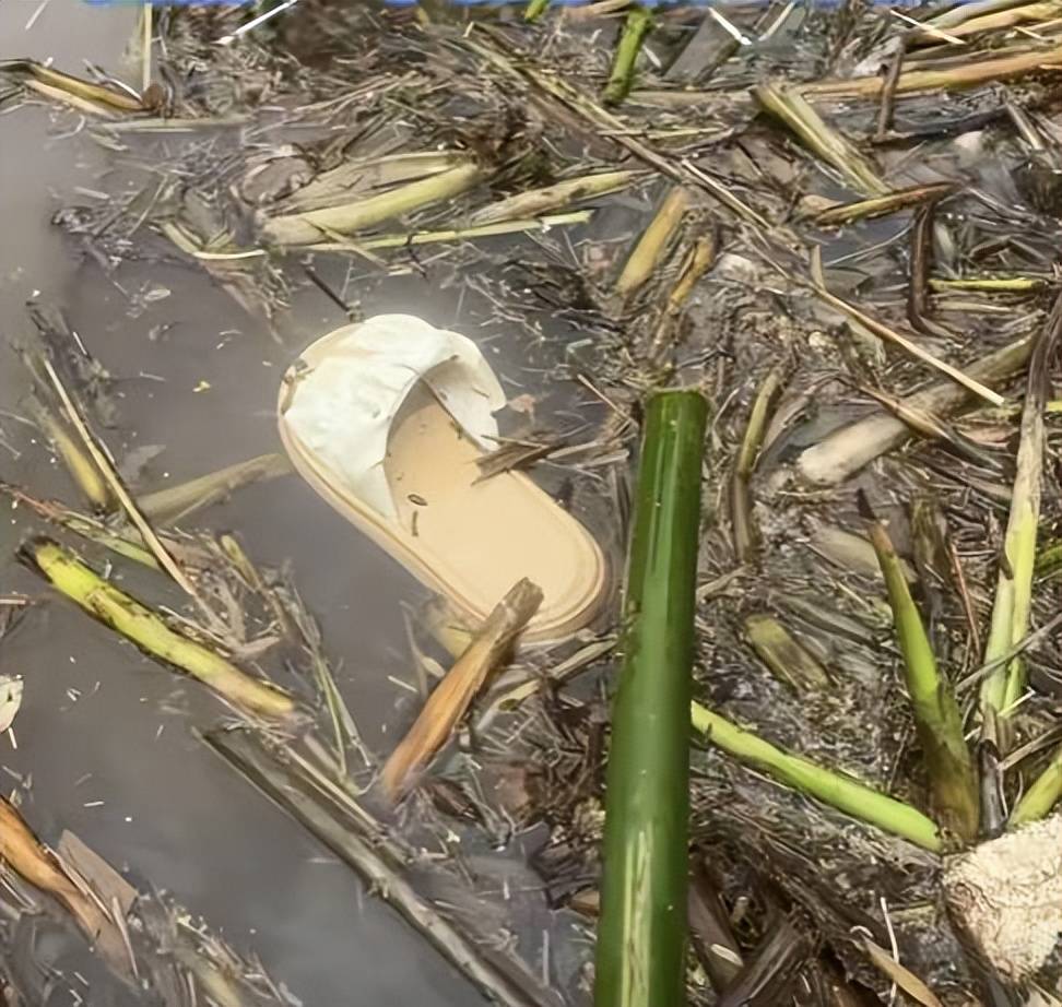 (打捞落水者的无奈之举,只找人,无法保证遗体完整)没过多久传来坏消息