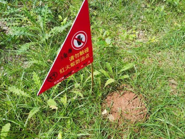 危险！远离！昆明正在进行灭杀