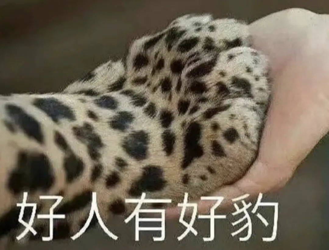 图片来源:网络表情包