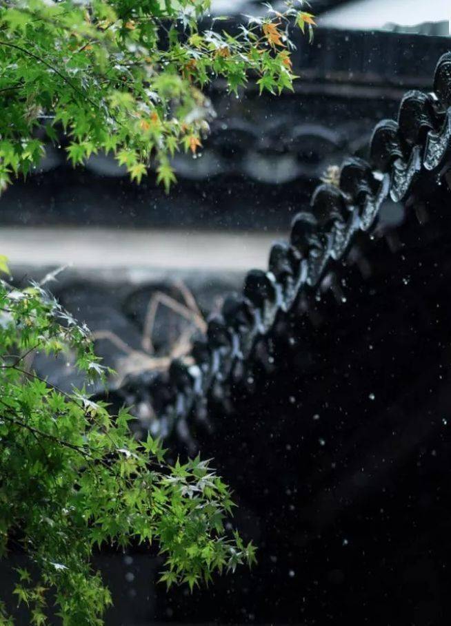 一些唯美的听雨诗词,新凉物物有精神, 静倚书窗听雨声