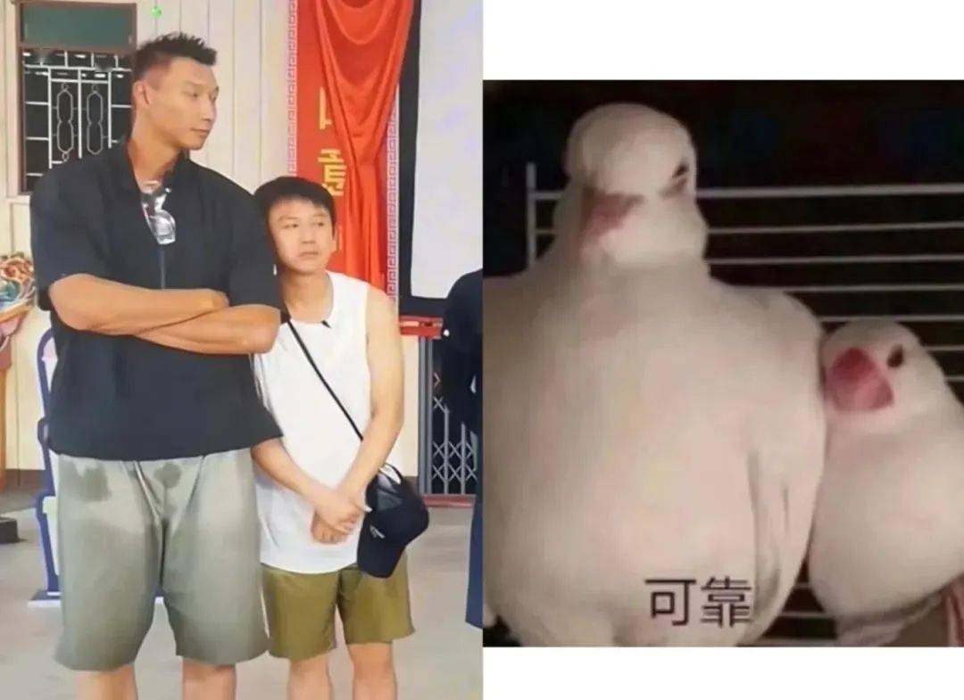 控制骨骼的年龄=控制高度？身高不是好吗？事实