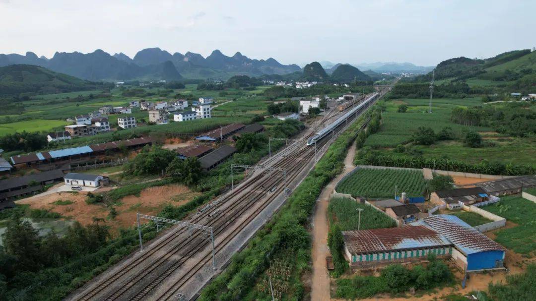 村里砍树，为啥要向铁路报备？