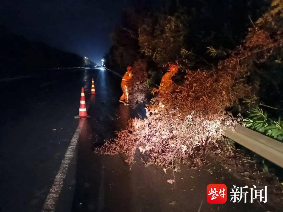 镇江交通产业集团全力筑牢防台防汛“安全堤”