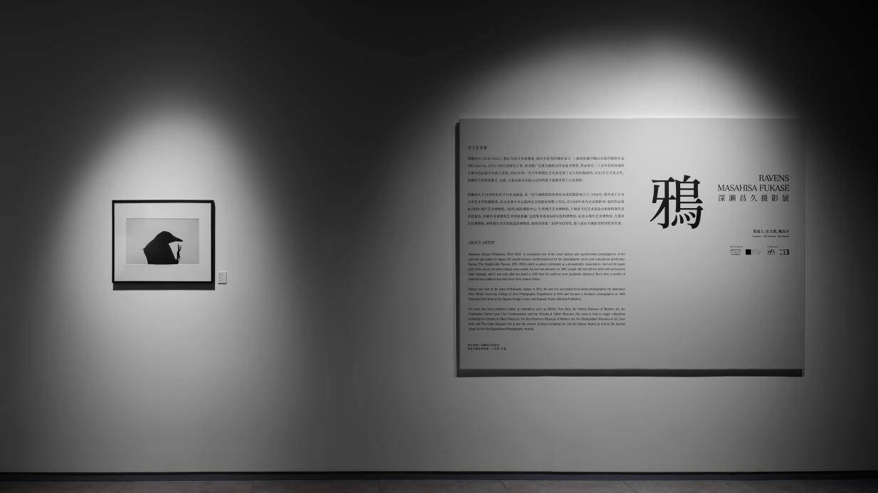 《鸦：深濑昌久摄影展》杭州开展，摄影爱好者别错过__《鸦：深濑昌久摄影展》杭州开展，摄影爱好者别错过