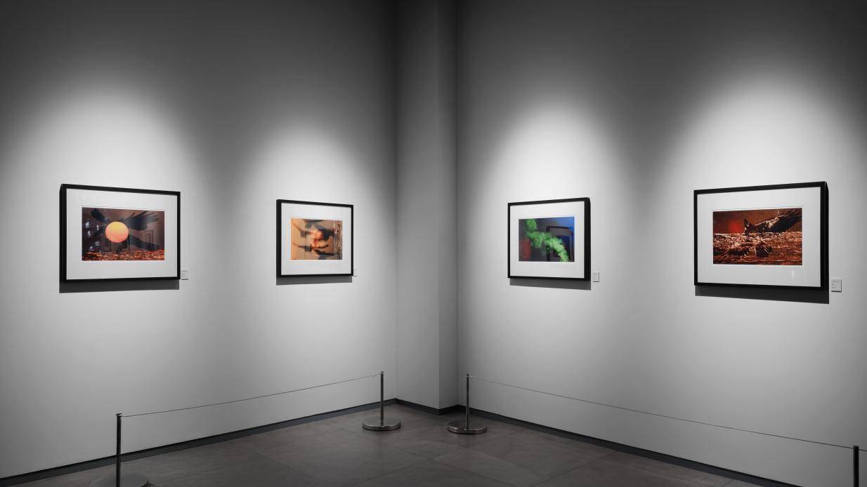 _《鸦：深濑昌久摄影展》杭州开展，摄影爱好者别错过_《鸦：深濑昌久摄影展》杭州开展，摄影爱好者别错过
