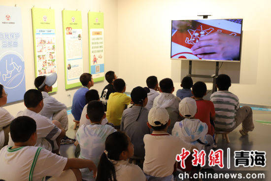 “用爱守护——儿童生命安全教育” 主题展在青海美术馆开幕