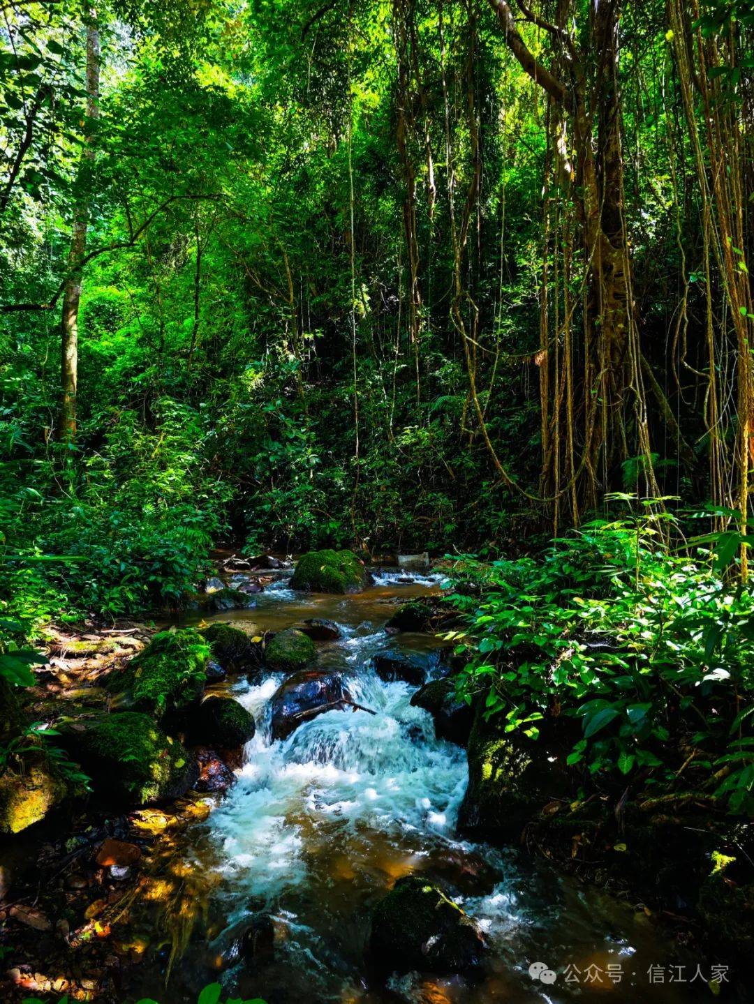 从瑞丽前往芒市,途经遮放镇芒棒村的景点