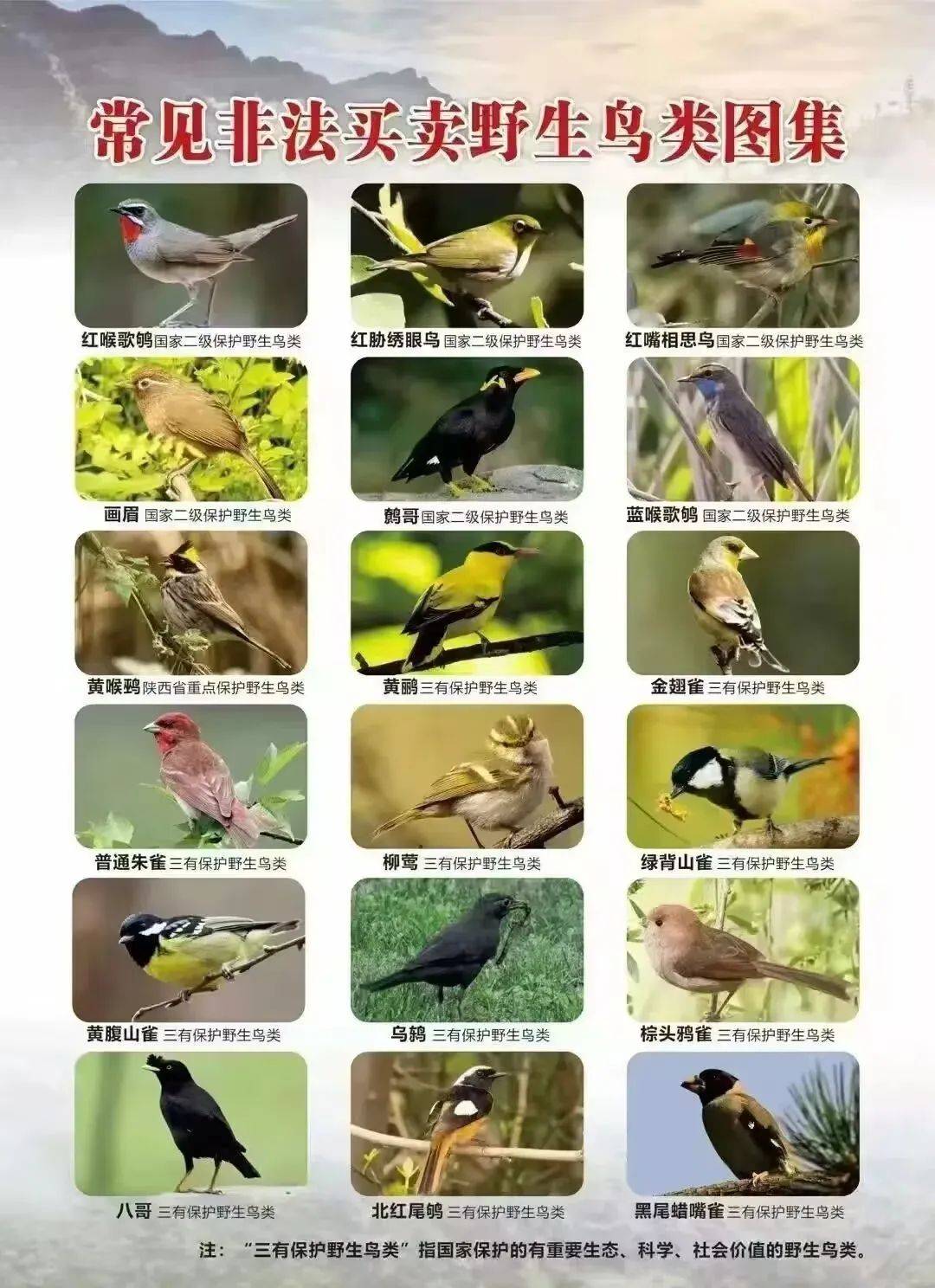 注意这些国家重点保护野生动植物碰不得