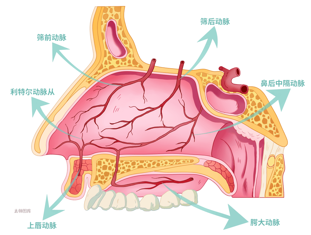 "元凶"就在家中