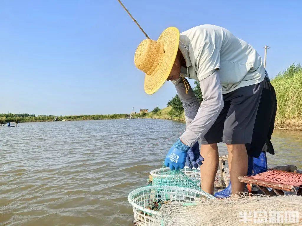 鲜鲜鲜！青岛梭子蟹大量上市！“全部八成肥以上”，价格低于往年→