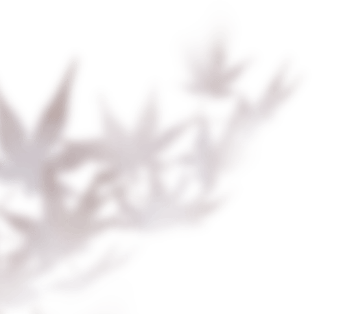 文章配图-8