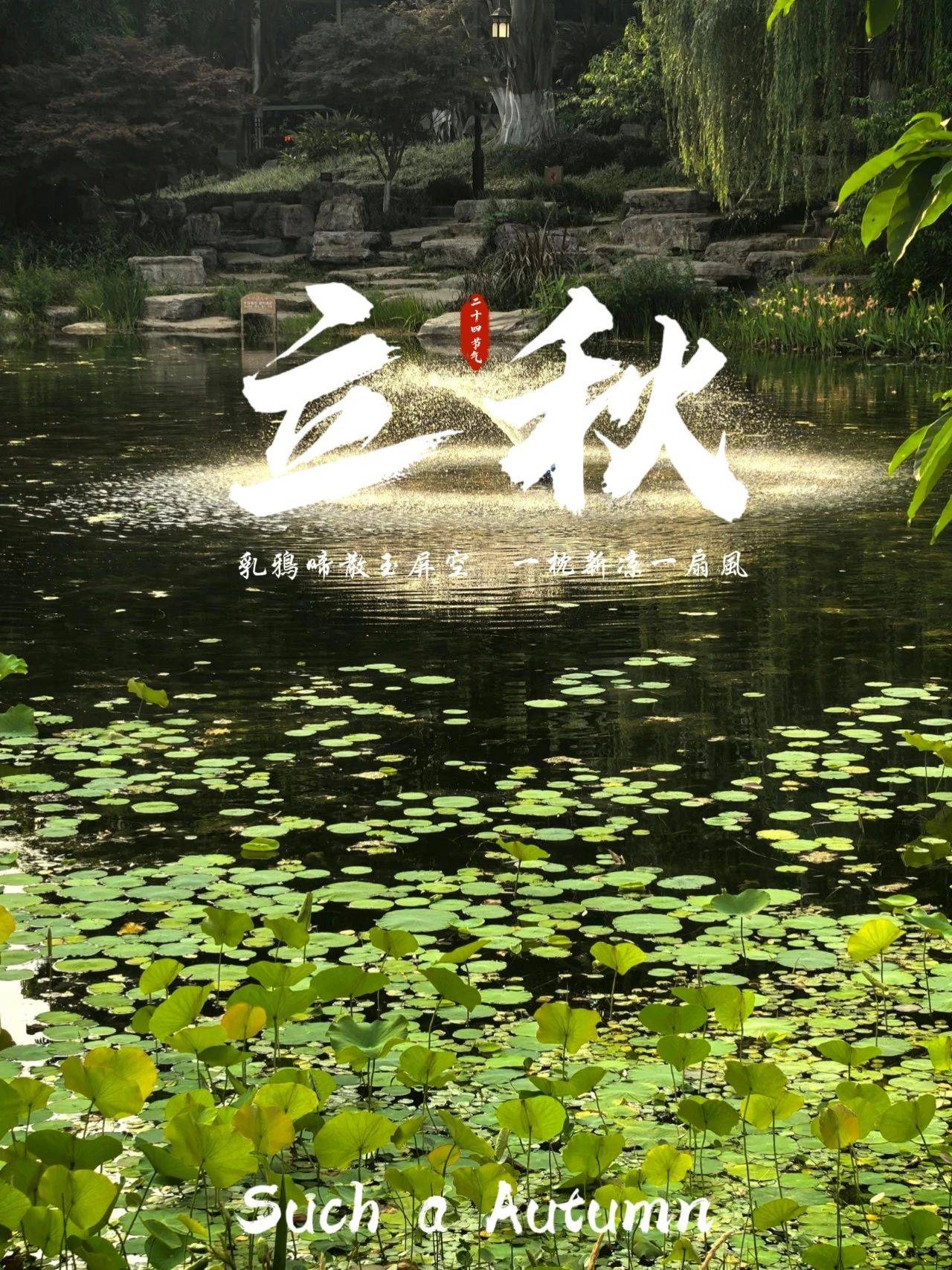 立秋:立秋迎新风,叶落知秋意