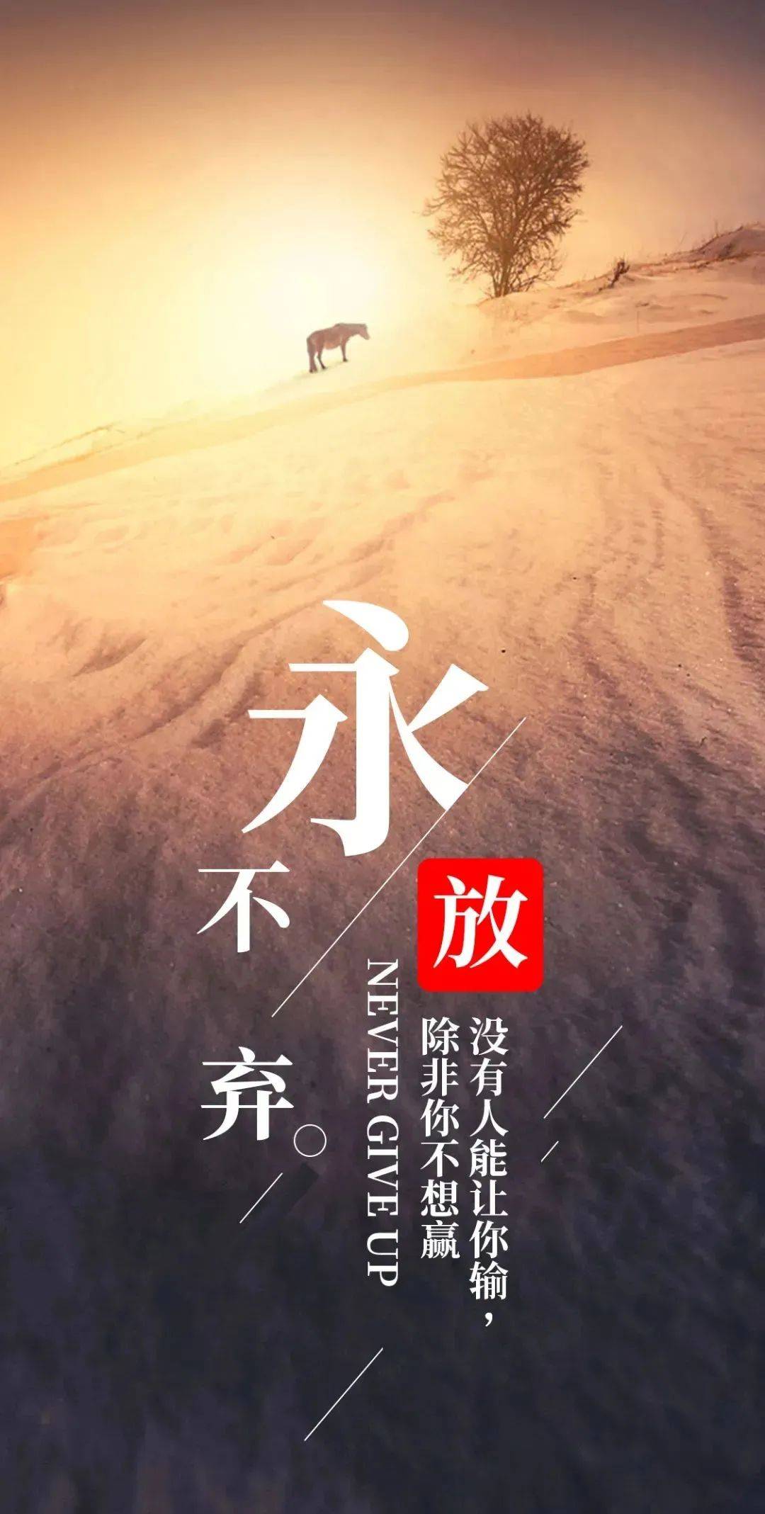"每天一句早安正能量语录,阳光上进,句句温暖励志!