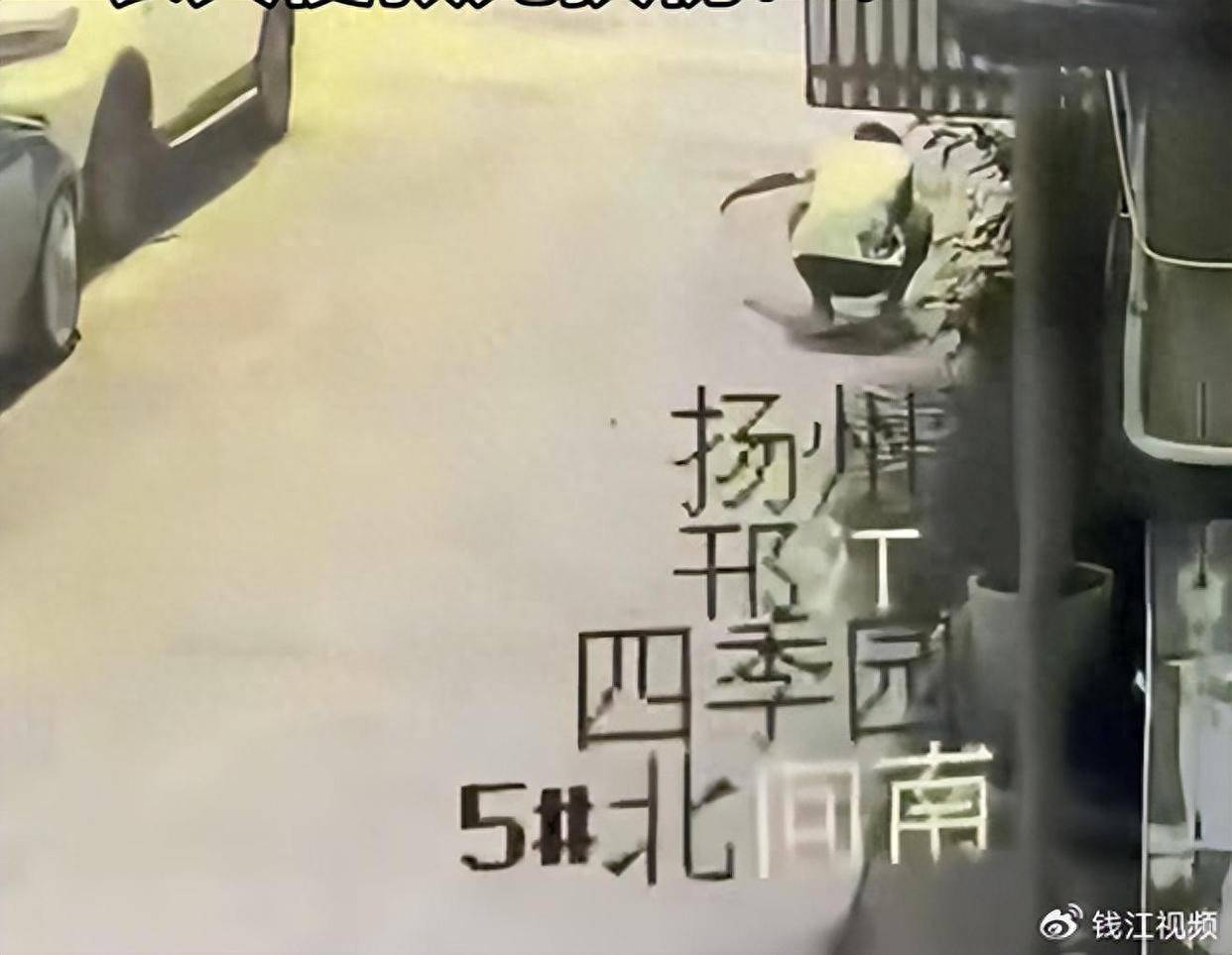 江苏扬州三甲医院一医生持弓箭射杀流浪猫，当地卫健委回应