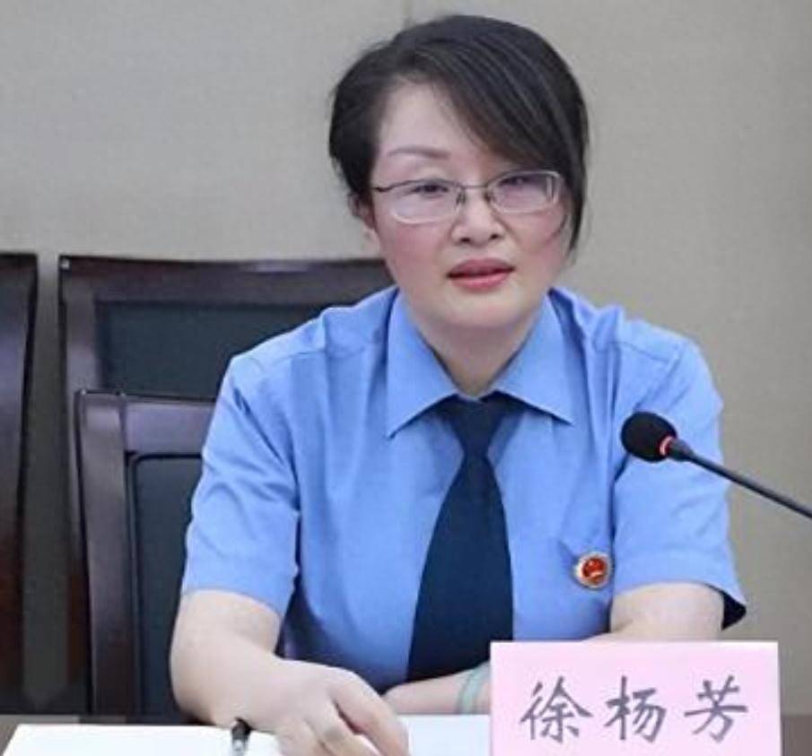 严重违纪违法！高级检察官徐杨芳被查