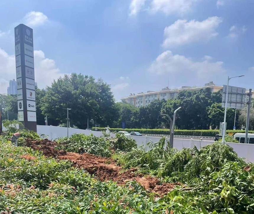 急难愁盼丨深圳福田深业上城未经审批砍伐树木？华富街道办回应