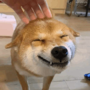 微信聊天可爱表情包