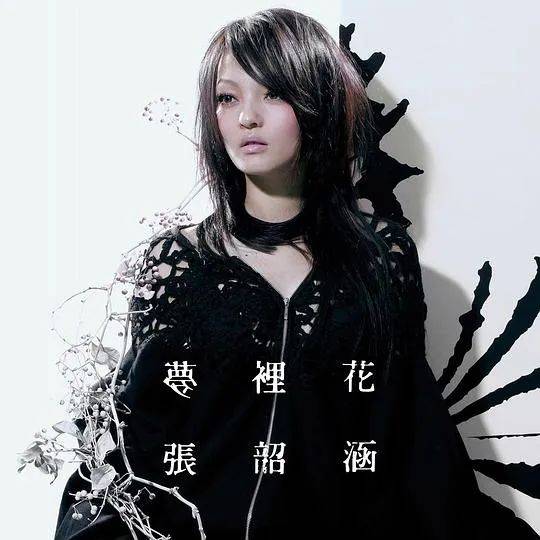 张韶涵的命运_换一个张韶涵_