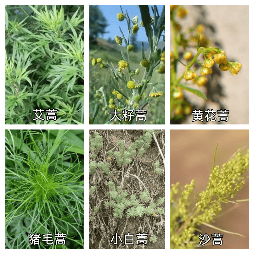 近期高发，出现这些症状赶紧就医！