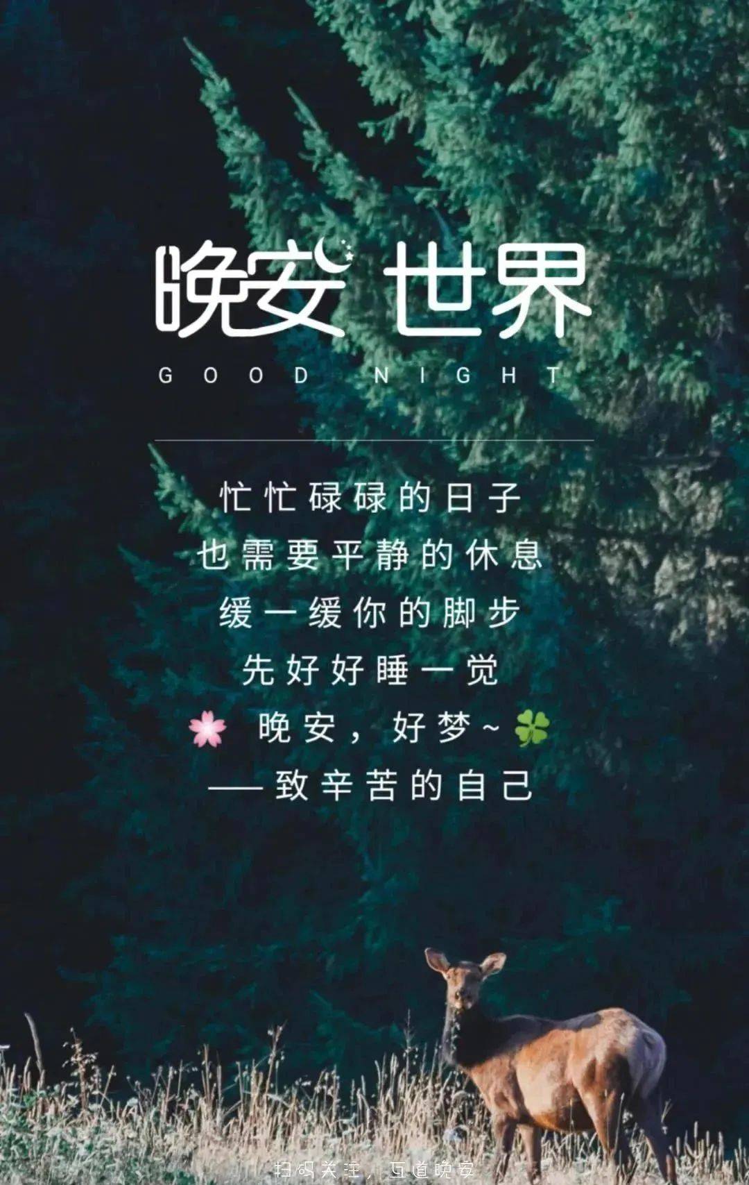 睡前发朋友圈的晚安心语说说正能量句子 晚安心语人生感悟文案
