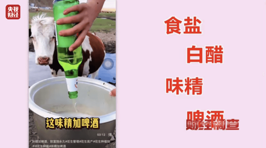 假农技专家“割韭菜” 虚假人设、违规带货，坑农骗局正上演！