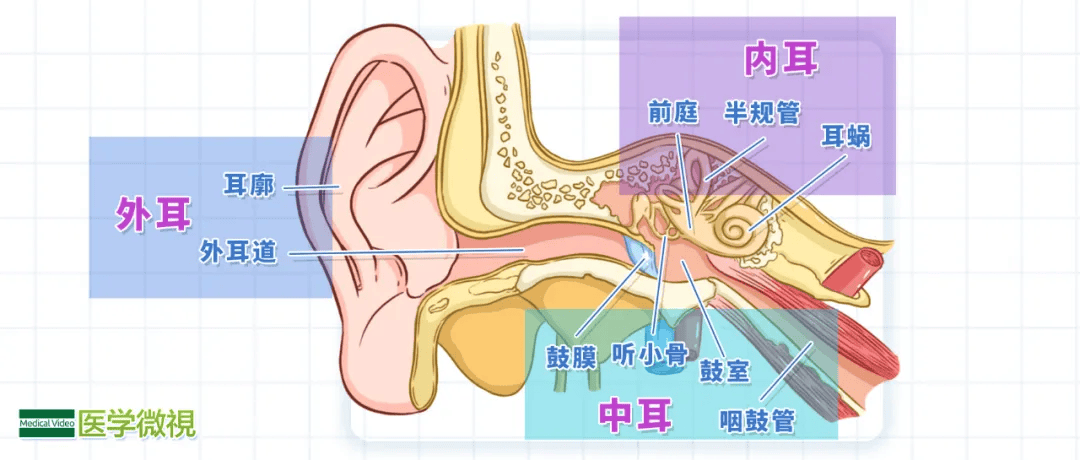 翻译错误：解析值时遇到的意外角色：<。路径