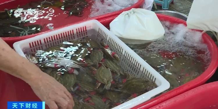 罕见！价格大跳水！很多人都爱吃