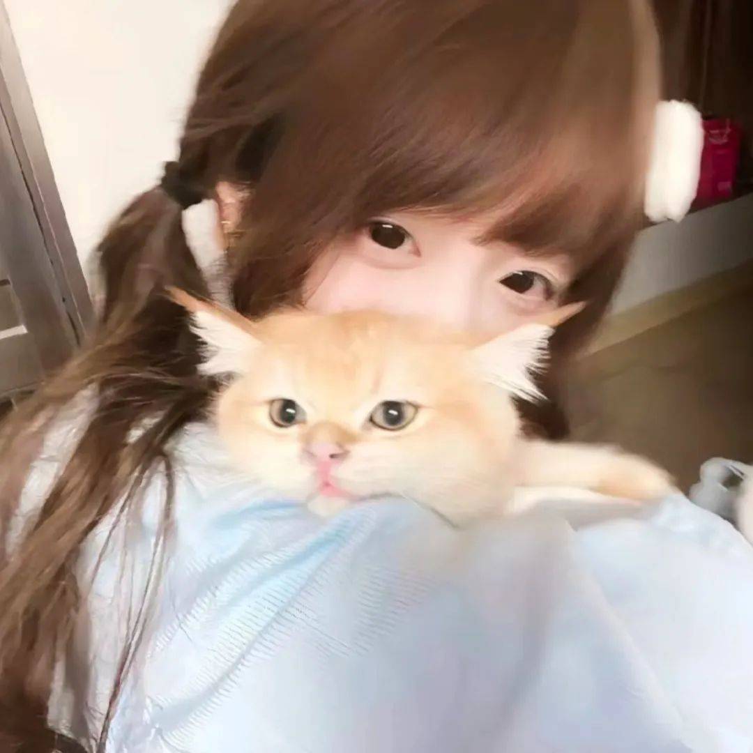 情头|超难找的单人情头