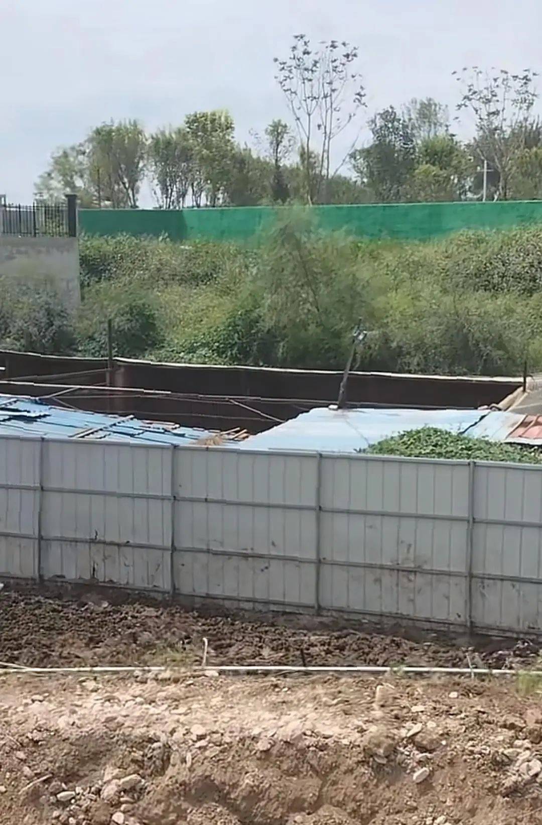 长春一小区每天凌晨听到狼群嚎叫，养殖户称养了40余只草原狼，官方：合法圈养不用担心