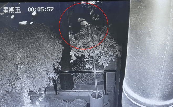 网友称丈夫被酒店养的猫抓伤，酒店回应：索赔2万元不合理，无法承担
