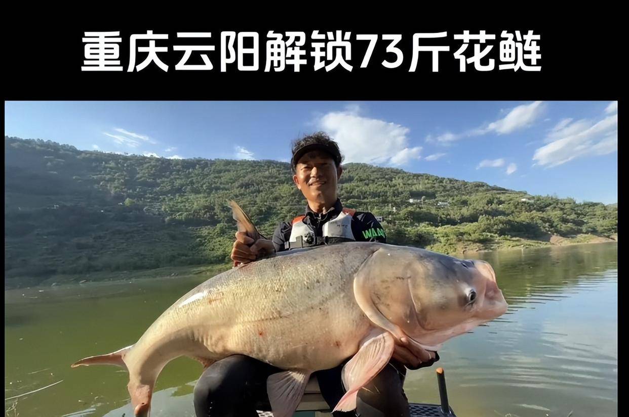 邓刚四天钓起73斤"花鲢王"震动全国,长江深处还有更大的?
