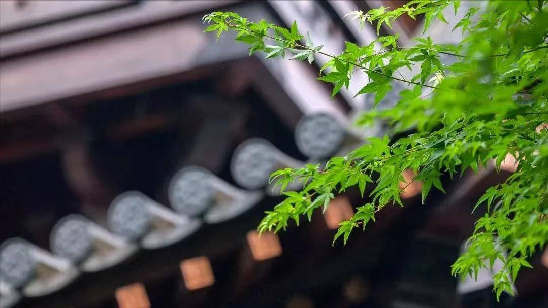 这4种话,会造口业,永远不要说!_妄语_因为_影响