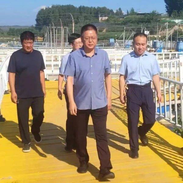 李继红检查史村镇安全生产工作_地区_防汛_人员