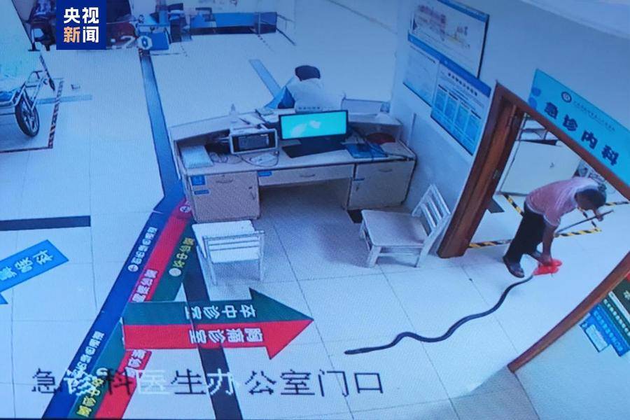 带蛇就医是“必选项”吗？被蛇咬伤后如何处理？