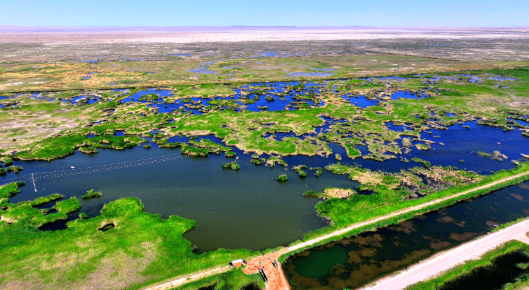 民勤县青土湖:一泓碧水映乡愁