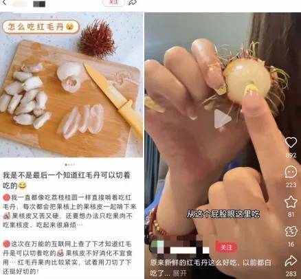 这种浑身长刺的“毛荔枝”，其实比橙子还补维C