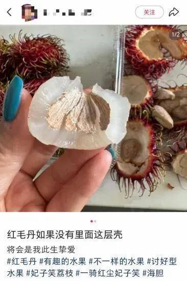 这种浑身长刺的“毛荔枝” 其实比橙子还补维C