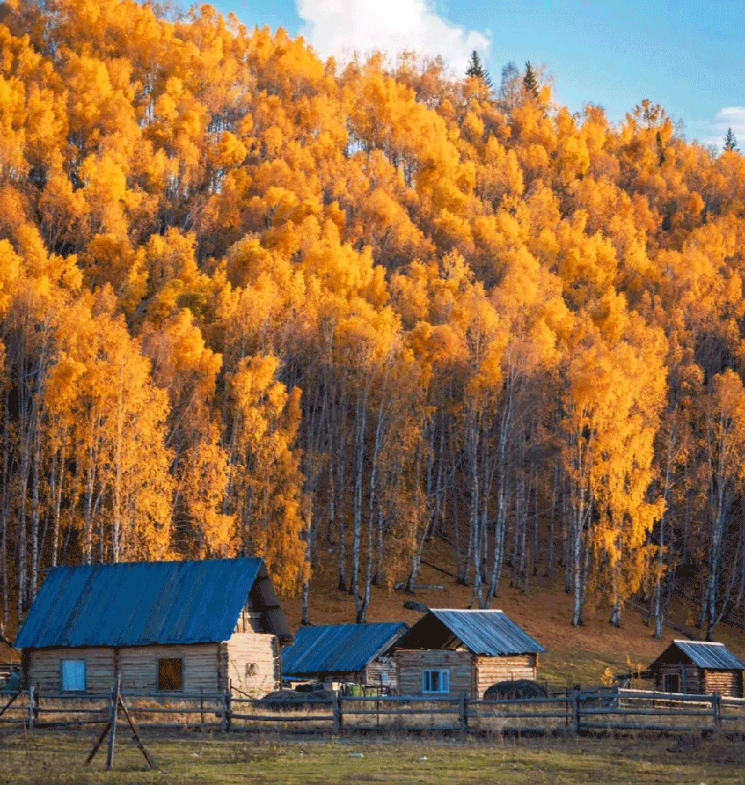 秋天奔赴北疆秘境,摄影爱好者的必选之旅