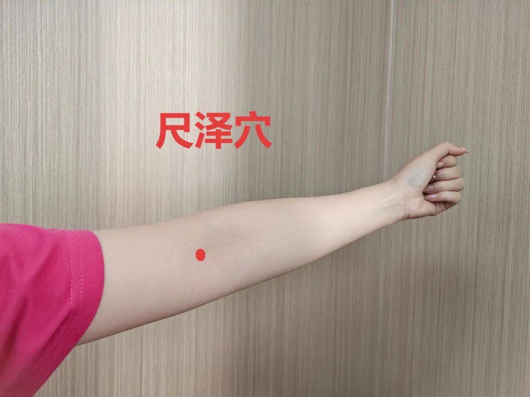 尺泽穴为肺经合穴,具有清肺润肺,肃理肺气的功效,可治疗感冒,咳嗽