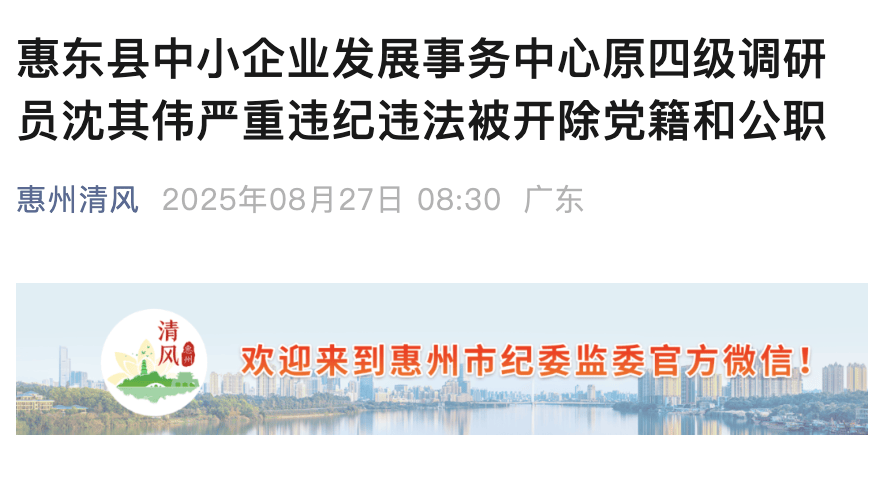 隐瞒入党前严重错误！惠州惠东县一原四级调研员被“双开”