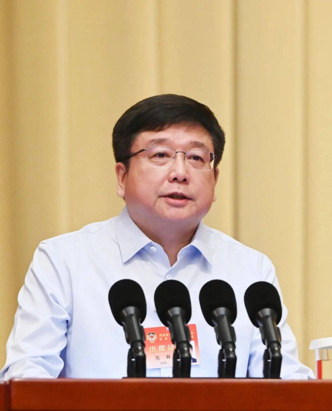 全国政协十四届常委会第十三次会议举行全体会议 陈群作大会发言