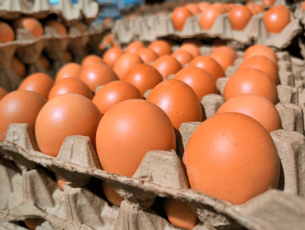 孕妇如何补充DHA？从饮食到补剂一次说清