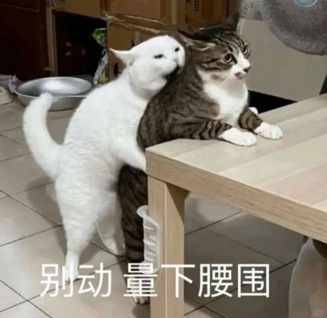 有些贱贱的表情包!