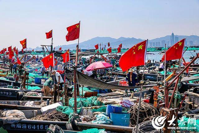 烟台正式开海，“金秋第一鲜”价格已经打听好了！