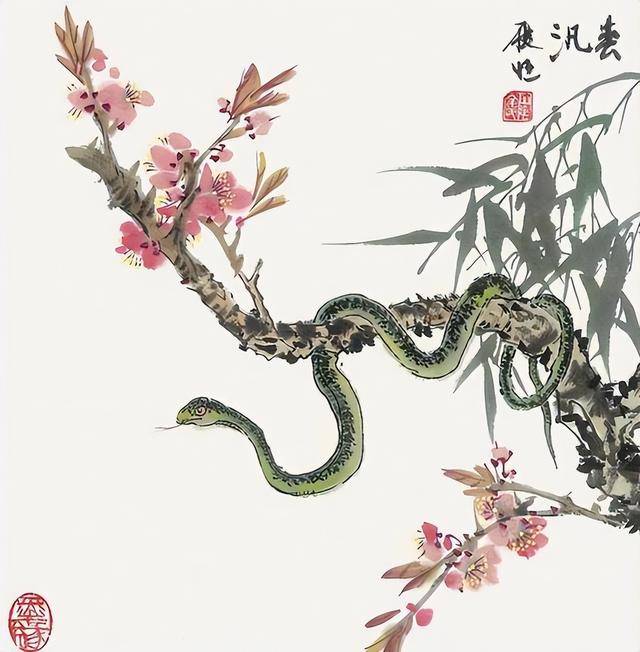 生肖羊与蛇的运势如何(生肖羊与蛇的工作关系)