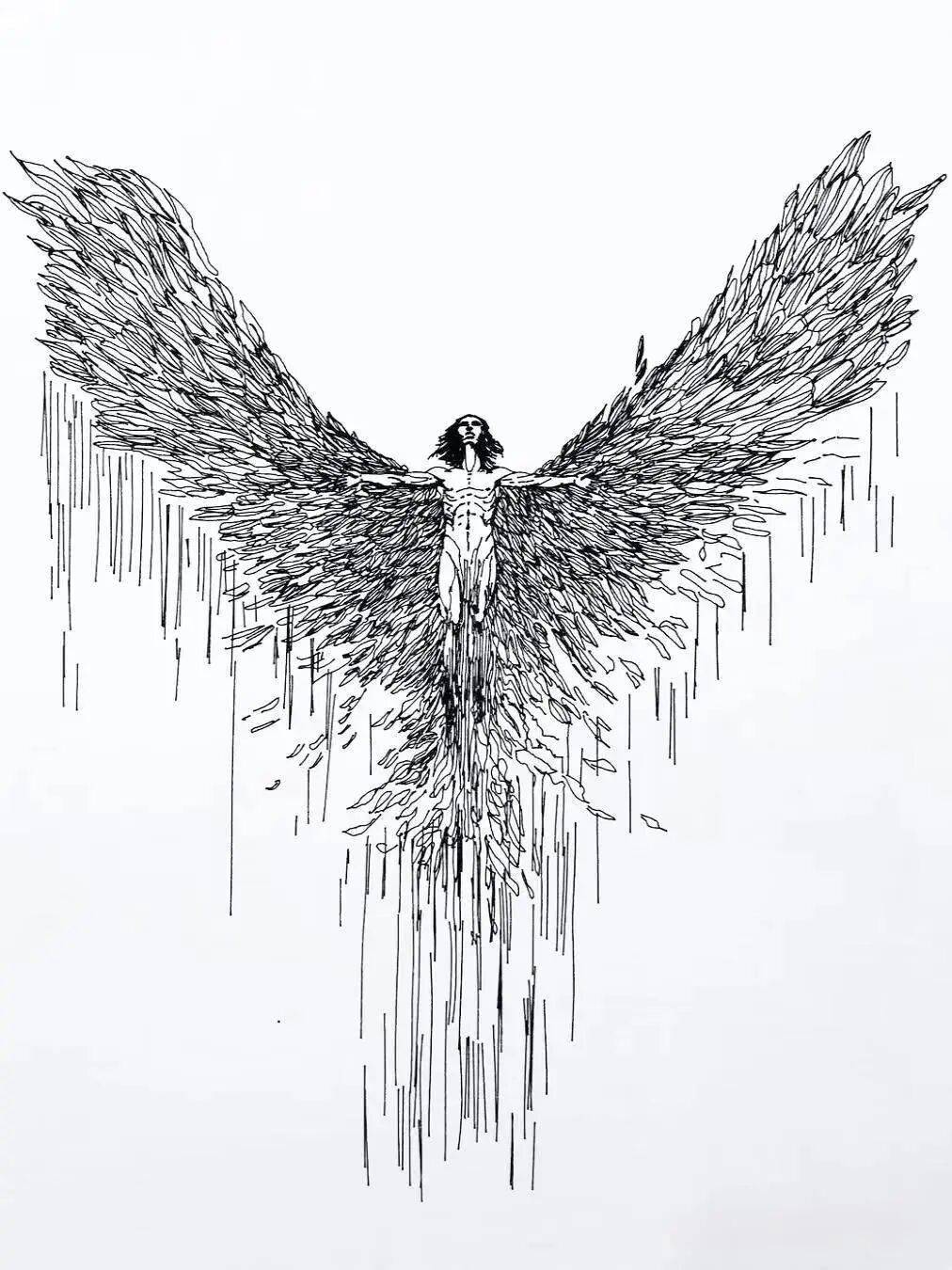 黑白钢笔画,线条的震撼