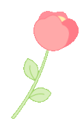 甜蜜回顾 | 我们的节日—七夕